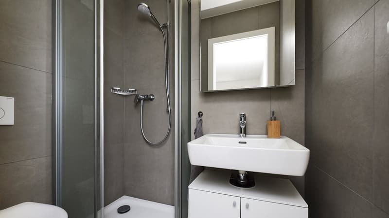 MODERNE WOHNUNG ZU VERMIETEN (7)