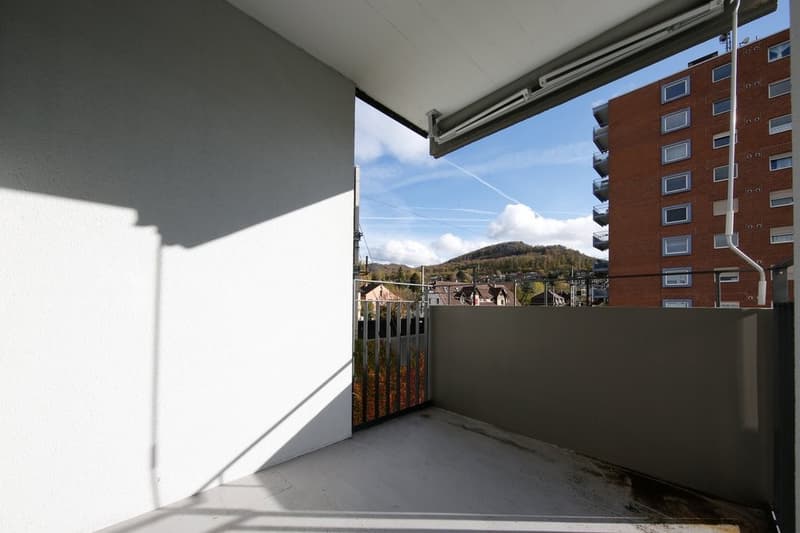 GROSSZÜGIGE WOHNUNG AN BESTER LAGE ZU VERMIETEN (9)