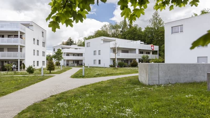 GEMÜTLICHE WOHNUNG AN RUHIGER LAGE ZU VERMIETEN (1)