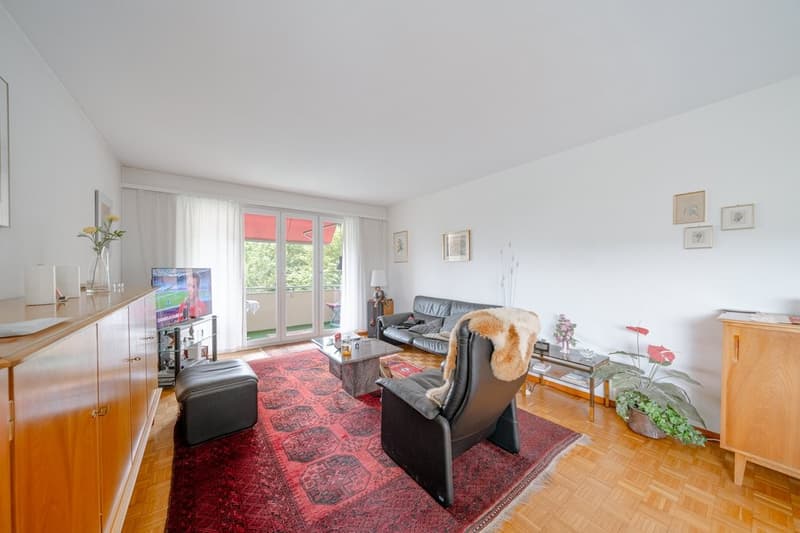 GEMÜTLICHES STUDIO IN BADEN ZU VERMEITEN (2)