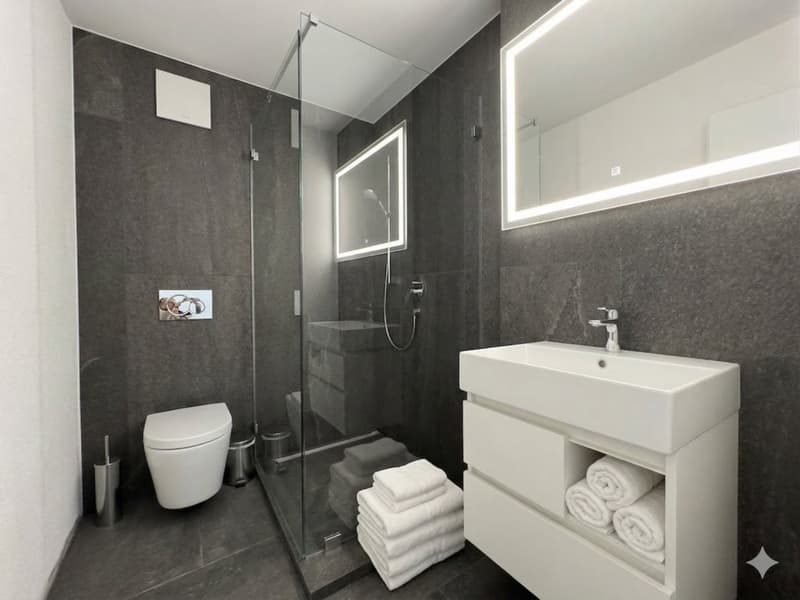 ERSTVERMIETUNG NACH UMBAU - 2.5 ZIMMER-WOHNUNG (5)