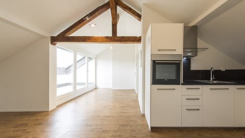 GEMÜTLICHE WOHNUNG AN GUTER LAGE ZU VERMIETEN (2)