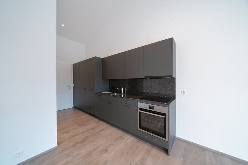 PERFEKTE SINGLE WOHNUNG IN ARBON (4)