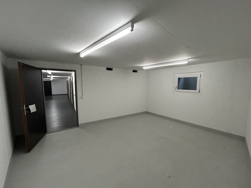 VIELSEITIG NUTZBARER BASTELRAUM IN REINACH (3)