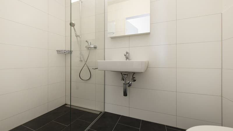MODERN WOHNEN MIT GROSSEM UND SONNENVERWÖHNTEM BALKON (10)