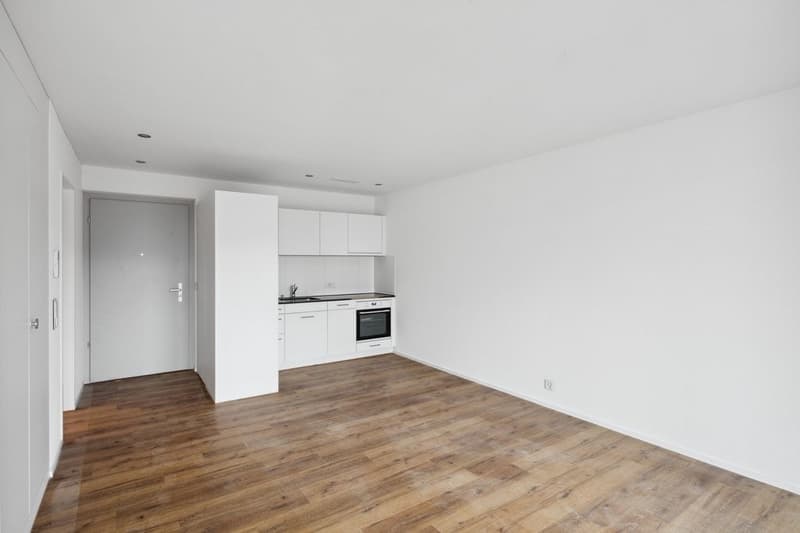HOCHWERTIGE WOHNUNG FÜR PAARE SINGLES UND SENIOREN (4)
