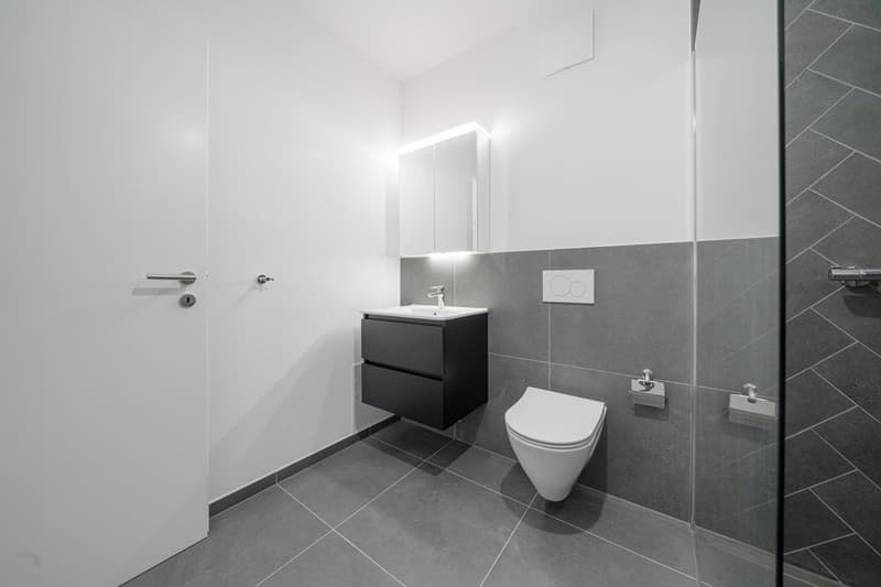 CHARMANTE 2.5 ZIMMER-WOHNUNG IN DIESSENHOFEN ZU VERMIETEN (9)