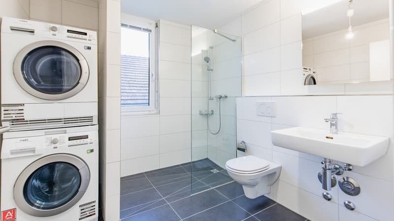 MODERNE WOHNUNG AN BEVORZUGTER LAGE IN REINACH (10)