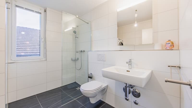 MODERNE WOHNUNG AN BEVORZUGTER LAGE IN REINACH (9)