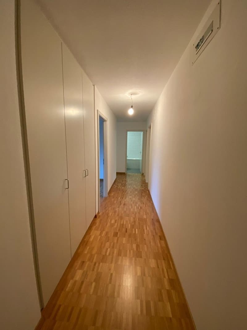 CHARMANTE 3 ZIMMER WOHNUNG SUCHT NACHMIETER (4)