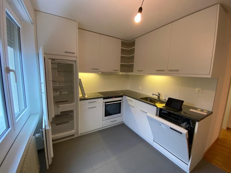 CHARMANTE 3 ZIMMER WOHNUNG SUCHT NACHMIETER (10)