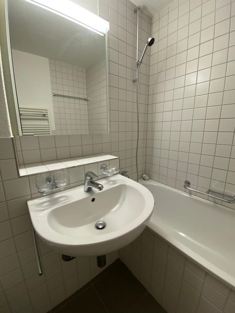 CHARMANTE 3 ZIMMER WOHNUNG SUCHT NACHMIETER (8)