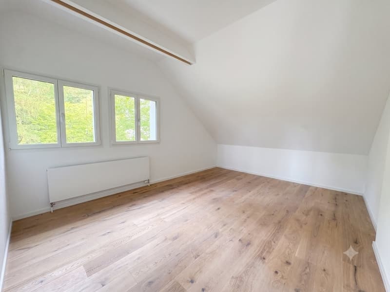 SANIERTE CHARMANTE DACHWOHNUNG ZU VERMIETEN (4)
