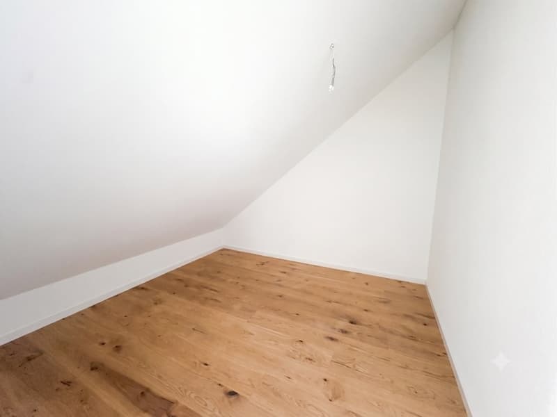SANIERTE CHARMANTE DACHWOHNUNG ZU VERMIETEN (6)