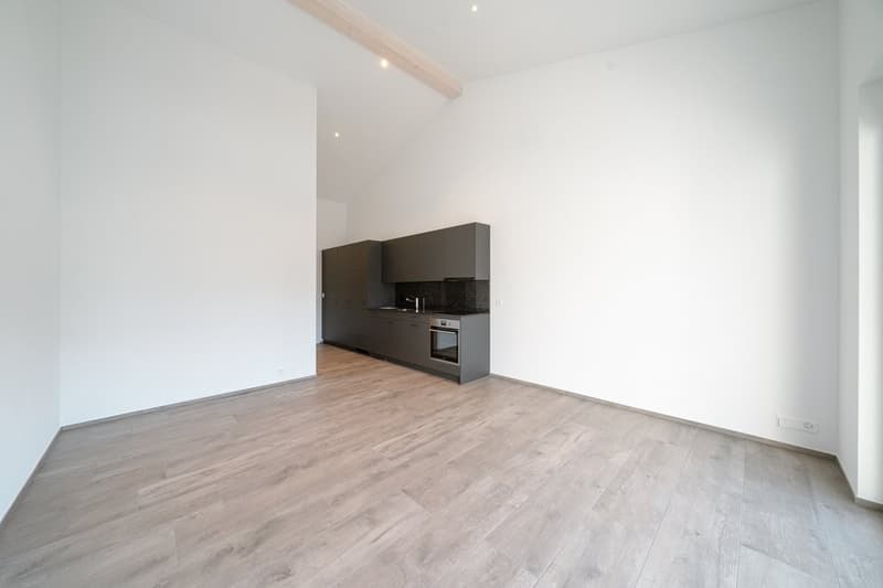 PERFEKTE SINGLE WOHNUNG (3)