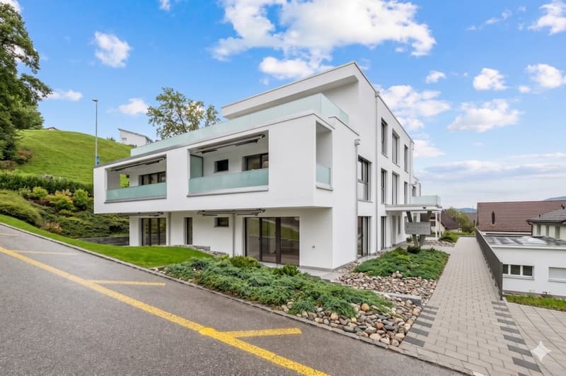 TOPMODERNE 2.5-ZIMMER-WOHNUNG IN MENZIKEN (1)