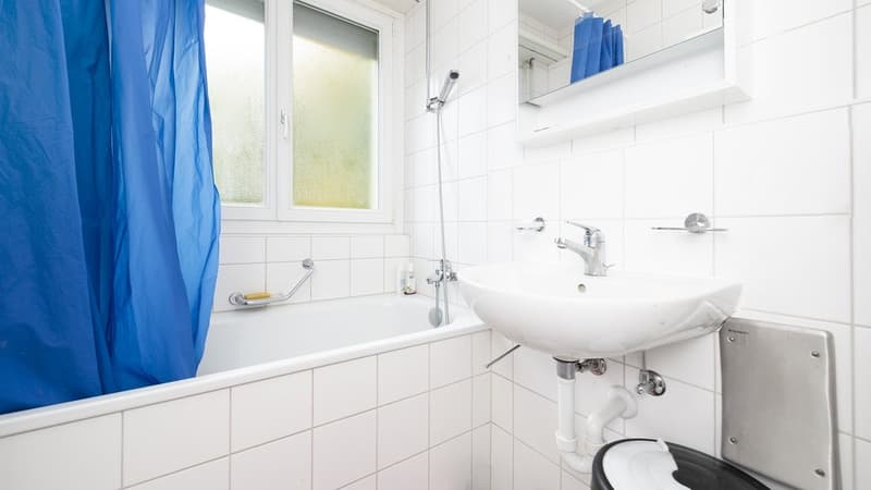 GEMÜTLICH UND ZENTRAL WOHNEN IN PRATTELN (11)