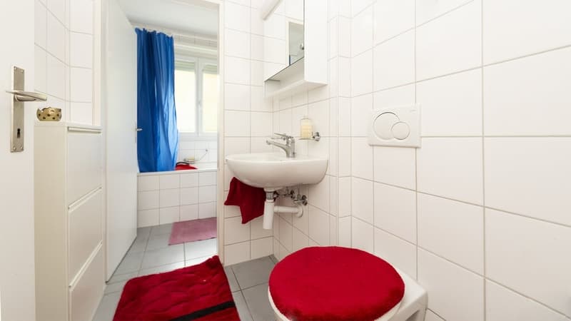 GEMÜTLICH UND ZENTRAL WOHNEN IN PRATTELN (12)