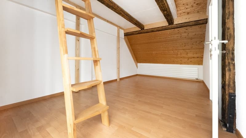 TOLLE 2.5 ZIMMER ATTIKAWOHNUNG ZU VERMIETEN (9)