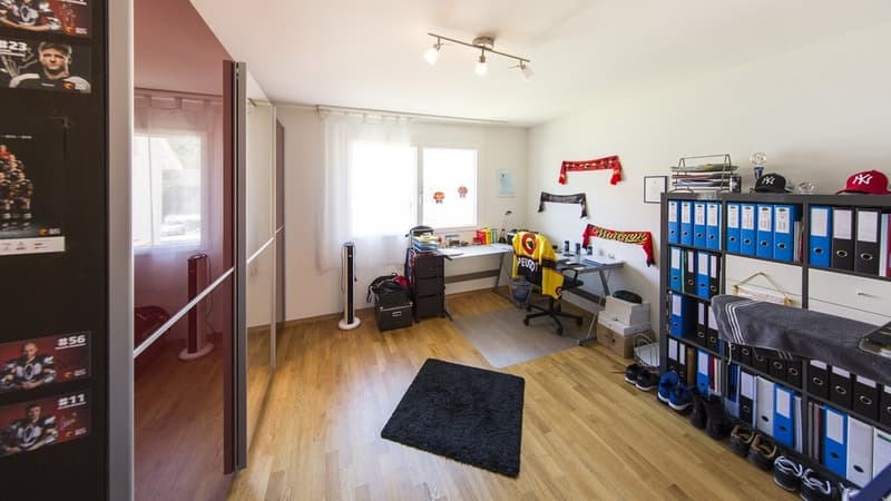 HELLE 3.5 ZIMMER-WOHNUNG IN STEIN (4)
