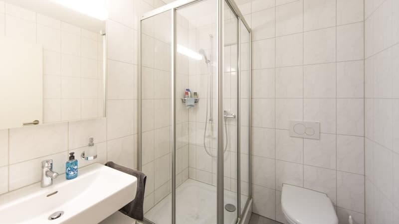 HELLE 3.5 ZIMMER-WOHNUNG IN STEIN (6)