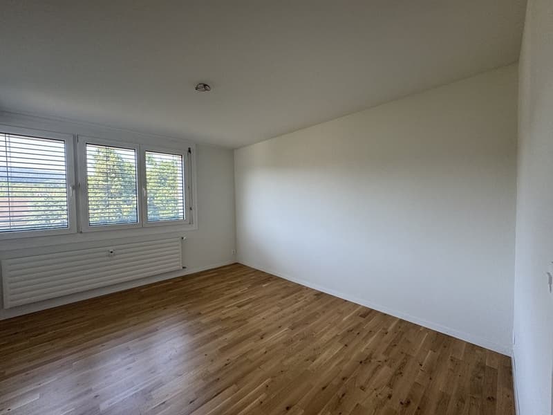 GEMÜTLICHE 3 ZIMMER-WOHNUNG IN LAUFEN (6)