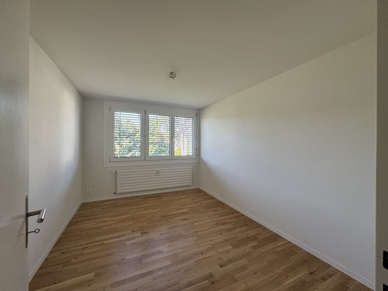 GEMÜTLICHE 3 ZIMMER-WOHNUNG IN LAUFEN (5)