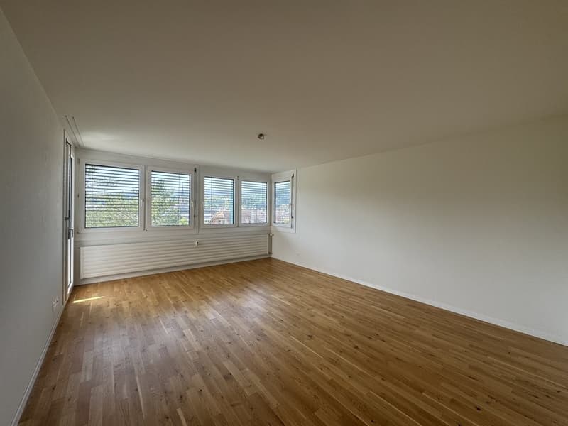 GEMÜTLICHE 3 ZIMMER-WOHNUNG IN LAUFEN (3)