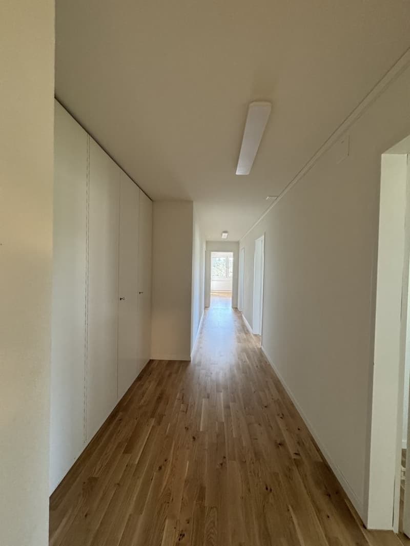 GEMÜTLICHE 3 ZIMMER-WOHNUNG IN LAUFEN (2)