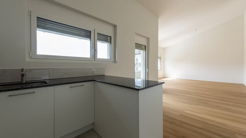 GEMÜTLICHE 4.5 ZIMMER-WOHNUNG IN HITZKIRCH (5)