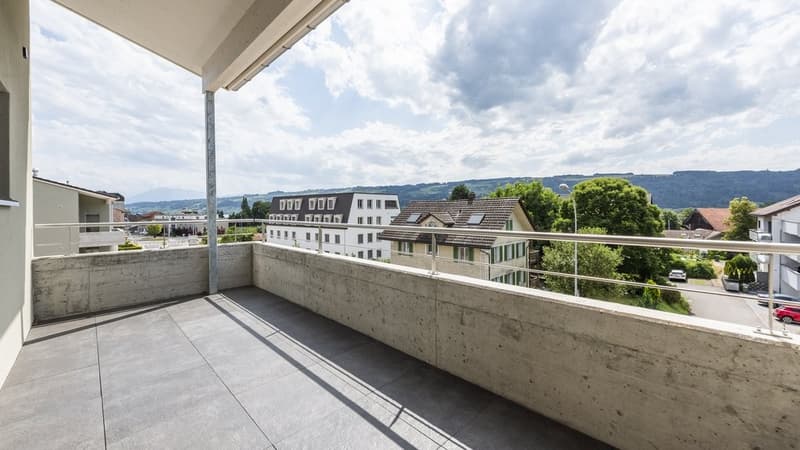 GEMÜTLICHE 4.5 ZIMMER-WOHNUNG IN HITZKIRCH (2)