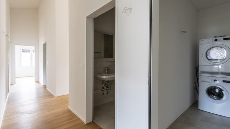 GEMÜTLICHE 4.5 ZIMMER-WOHNUNG IN HITZKIRCH (6)