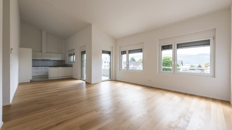GEMÜTLICHE 4.5 ZIMMER-WOHNUNG IN HITZKIRCH (3)