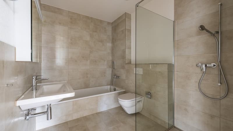 GEMÜTLICHE 4.5 ZIMMER-WOHNUNG IN HITZKIRCH (12)