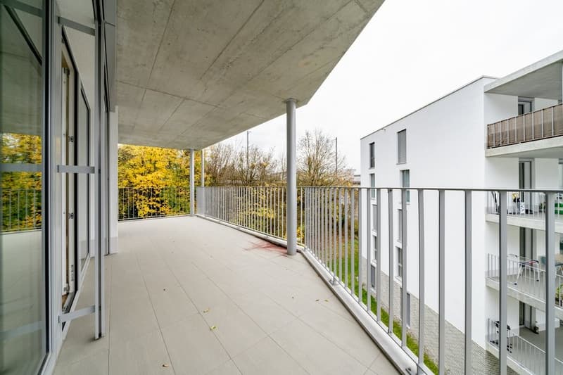MODERN UND GROSSZÜGIG (8)
