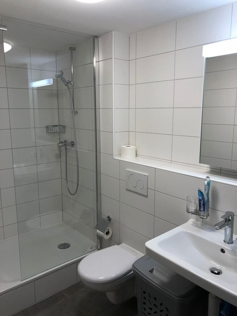 GEMÜTLICHE, KLEINE WOHNUNG IN ZENTRUMSNAHER LAGE VON BASEL (6)