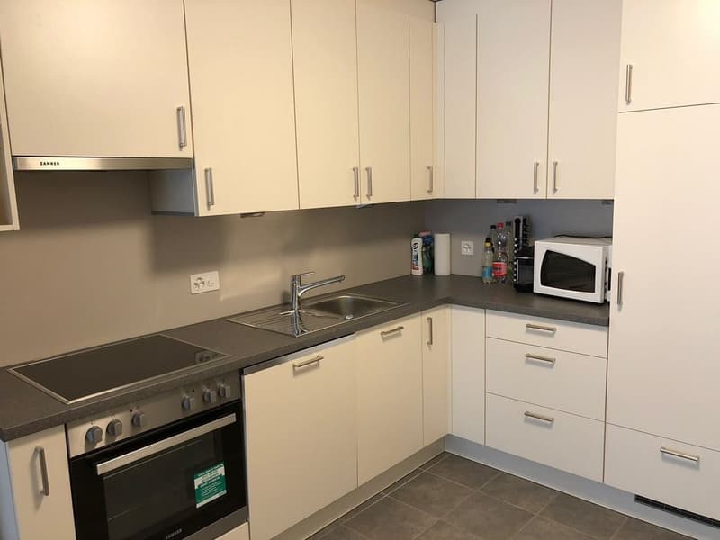 GEMÜTLICHE, KLEINE WOHNUNG IN ZENTRUMSNAHER LAGE VON BASEL (4)