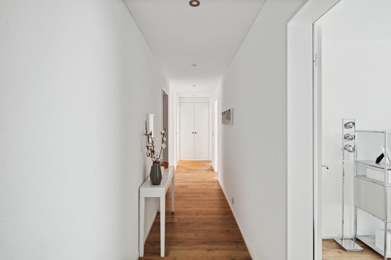 MODERNE 4.5 ZIMMER-WOHNUNG IN BISCHOFSZELL (3)