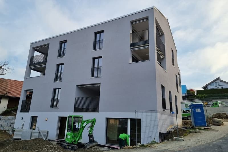 TRAUMWOHNUNG MIT SEESICHT IN BIRRWIL (2)