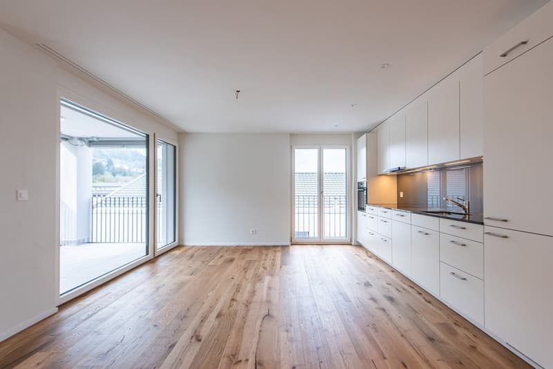 TRAUMWOHNUNG MIT SEESICHT IN BIRRWIL (7)