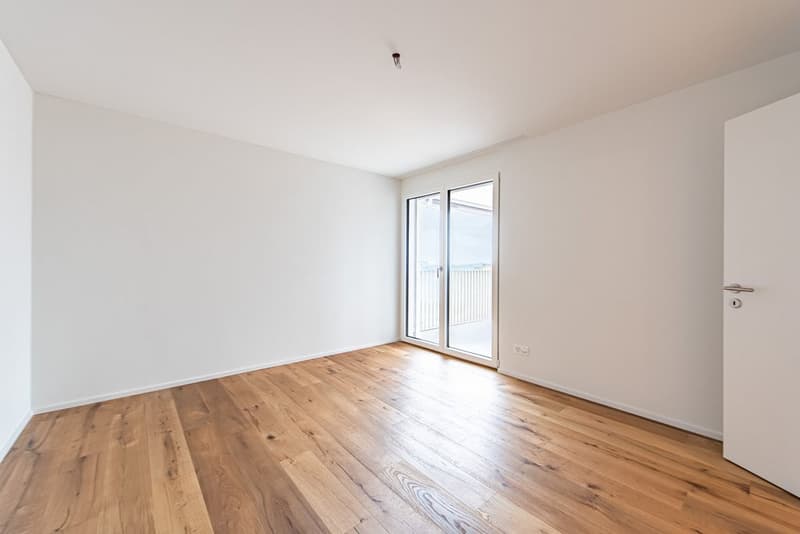 TRAUMWOHNUNG MIT SEESICHT IN BIRRWIL (5)