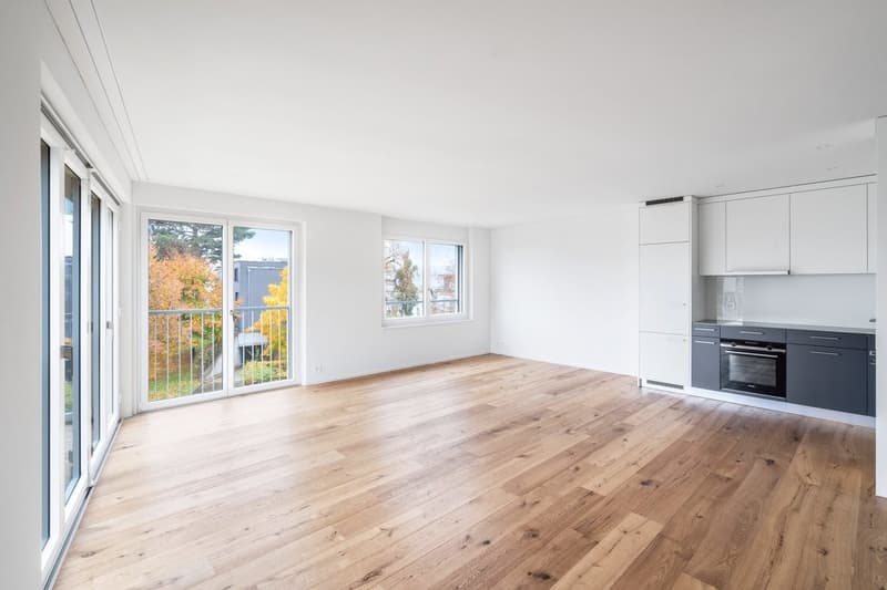 MODERNE WOHNUNG MIT GROSSZÜGIGEM GARTENSITZPLATZ IN MÄNNEDORF (4)