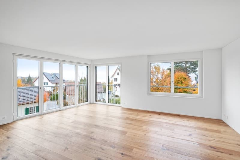 MODERNE WOHNUNG MIT GROSSZÜGIGEM GARTENSITZPLATZ IN MÄNNEDORF (6)