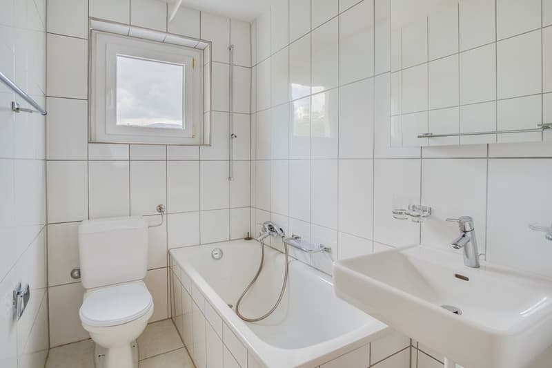 PLATZ FÜR DIE GANZE FAMILIE WOHNUNG AN TOP LAGE IN OLTEN ZU VERMIETEN (8)