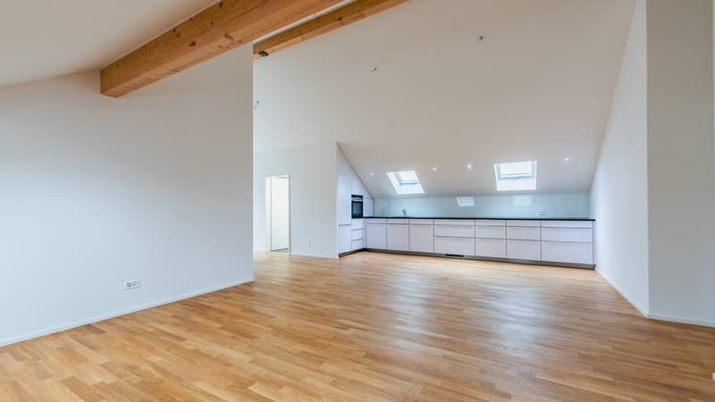 GEMÜTLICHE WOHNUNG MIT EXKLUSIVER DACHTERRASSE (9)