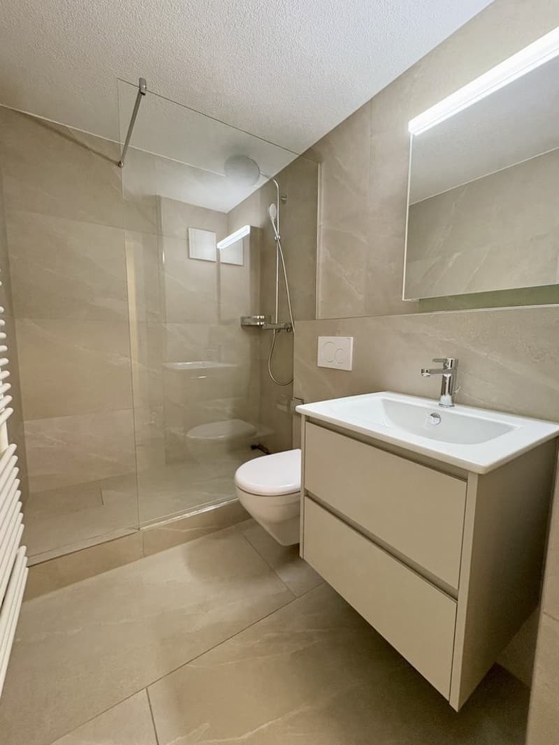 CHARMANTE 3.5 ZIMMER ATTIKAWOHNUNG ZU VERMIETEN (7)