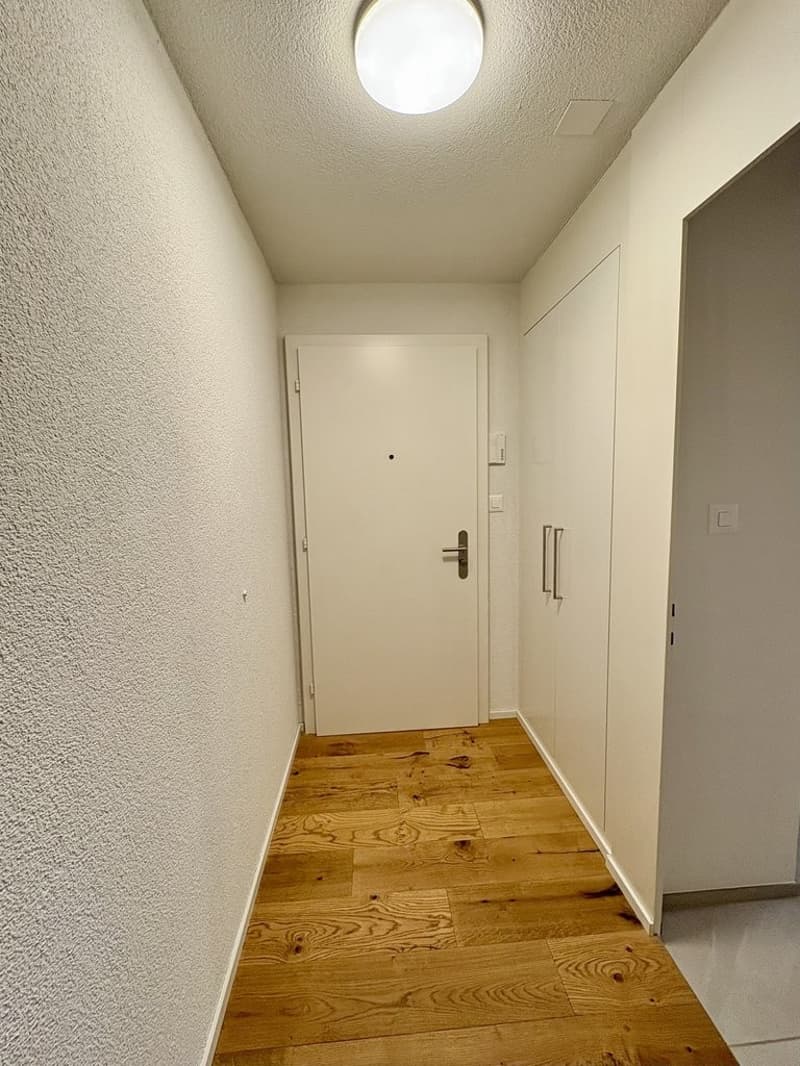CHARMANTE 3.5 ZIMMER ATTIKAWOHNUNG ZU VERMIETEN (6)