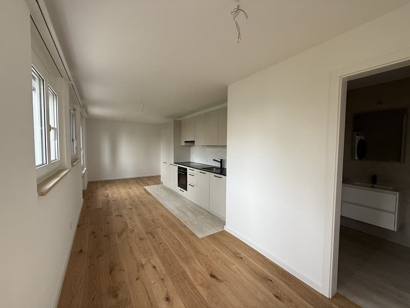 SANIERTE CHARMANTE KLEINWOHNUNG ZU VERMIETEN (4)