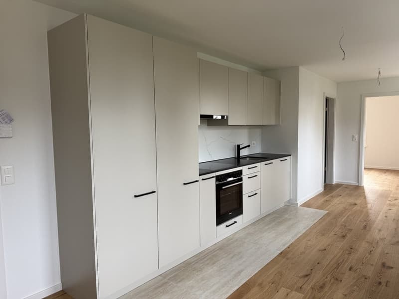 SANIERTE CHARMANTE KLEINWOHNUNG ZU VERMIETEN (3)