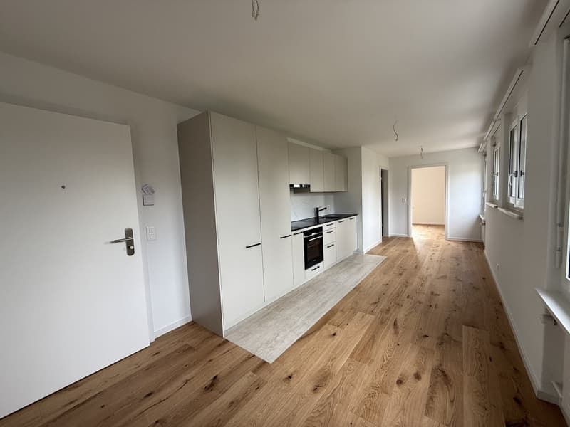 SANIERTE CHARMANTE KLEINWOHNUNG ZU VERMIETEN (2)